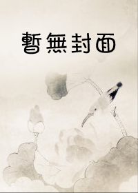 将军的故事