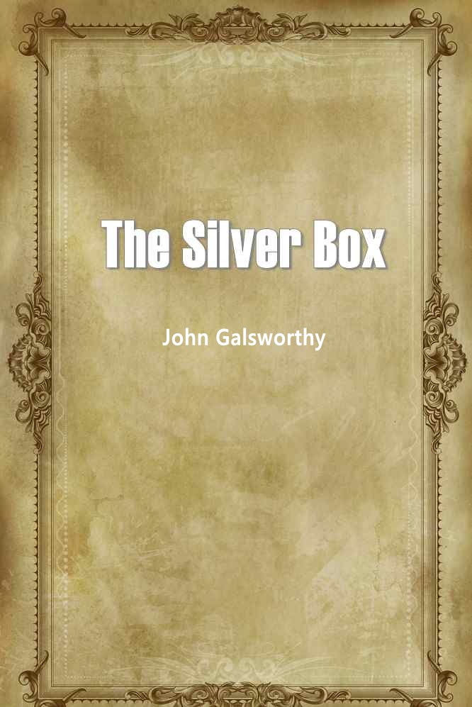 The Silver Box