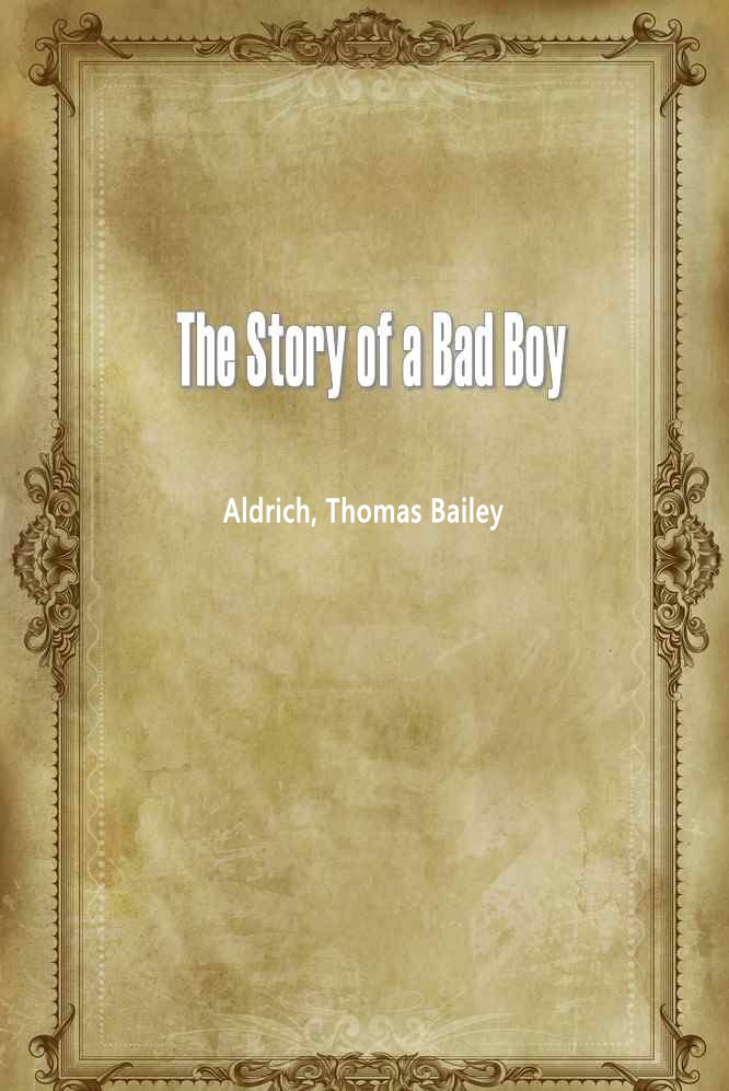 The Story of a Bad Boy